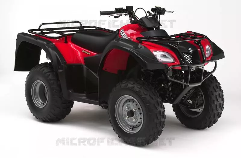 * PHOTOGRAPHIE DE COULEUR LT-F250K6 * Suzuki QUAD 250 OZARK 2002  LT-F250K2(E17)
