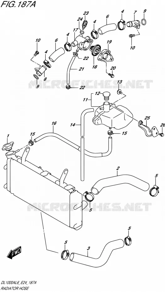 DURITE DE RADIATEUR Suzuki MOTO 1000 V-STROM 2016  DL1000A L6 (E24)
