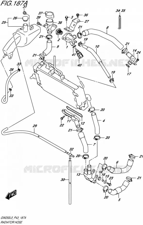 DURITE DE RADIATEUR Suzuki MOTO 250 INAZUMA 2015  GW250 L5 (P43)