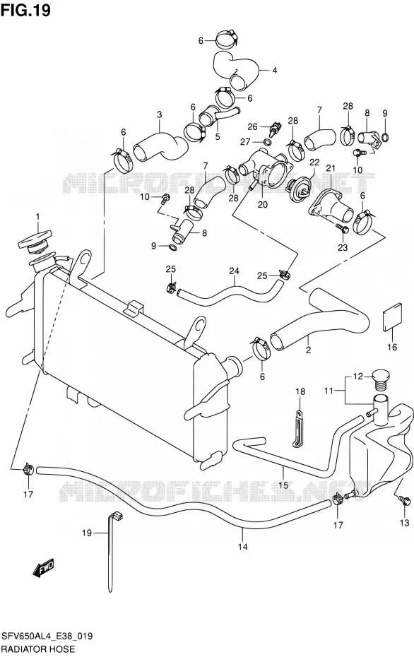 DURITE DE RADIATEUR Suzuki MOTO 650 GLADIUS 2014  SFV650A L4 (E38)