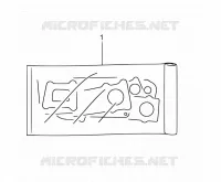 KIT JOINTS pour Suzuki OZARK 250 2006