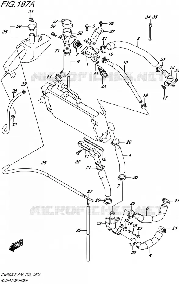 DURITE DE RADIATEUR Suzuki MOTO 250 INAZUMA 2017  GW250 L7 (P03,P28,P33)