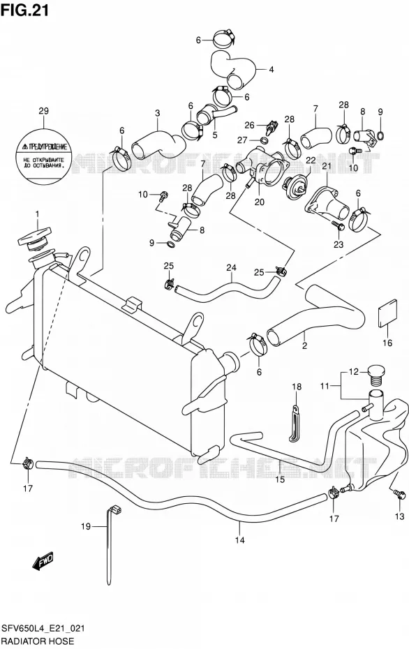DURITE DE RADIATEUR (SFV650AL4 E21) Suzuki MOTO 650 GLADIUS 2015  SFV650A L4 (E21)