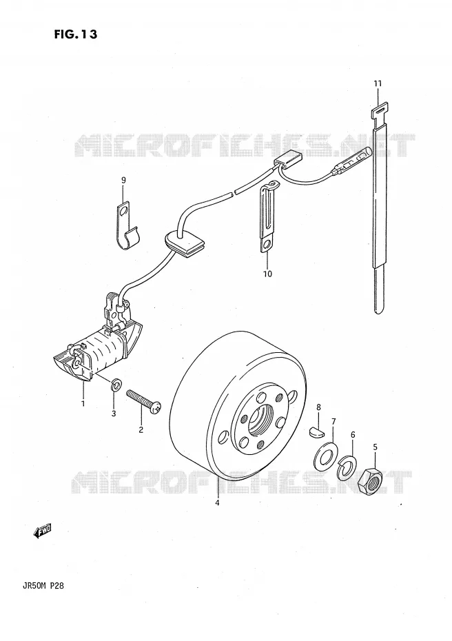 ALLUMAGE ROTOR - STATOR Suzuki MOTO 50 JR 1988  JR50J(P28)