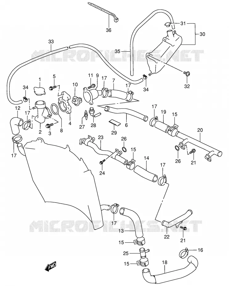 DURITE DE RADIATEUR Suzuki MOTO 900 RF 1994  RF900RR(E2)