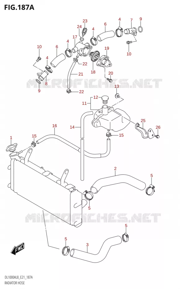 DURITES DE RADIATEUR - VASE D'EXPANSION Suzuki MOTO 1000 V-STROM 2018  DL1000XA L8 E21