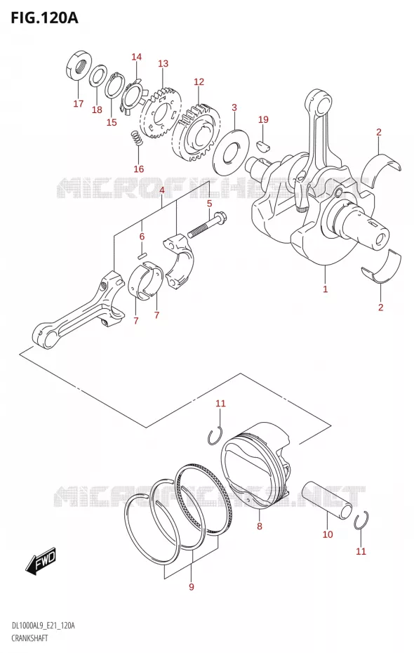 VILEBREQUIN Suzuki MOTO 1000 V-STROM 2019  DL1000A L9 (E21)