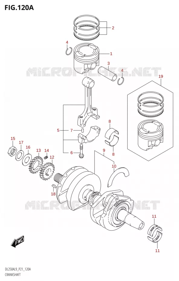 VILEBREQUIN Suzuki MOTO 250 V-STROM 2019  DL250A L9 (P21)