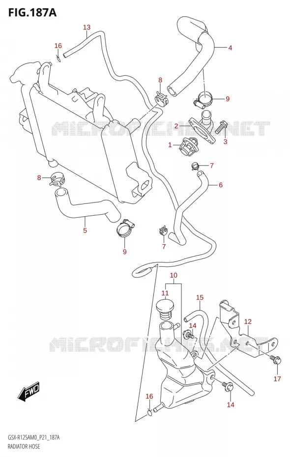 DURITE DE RADIATEUR Suzuki MOTO 125 GSX-R 2020  GSX-R125XA M0 (P21)