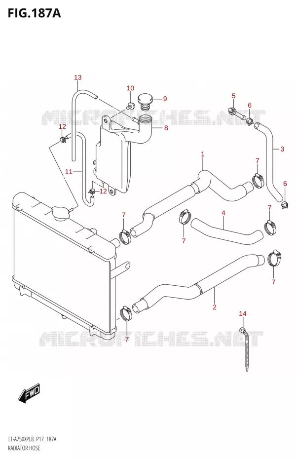 DURITE DE RADIATEUR Suzuki QUAD 750 KINGQUAD 2018  LT-A750XP L8 (P17)