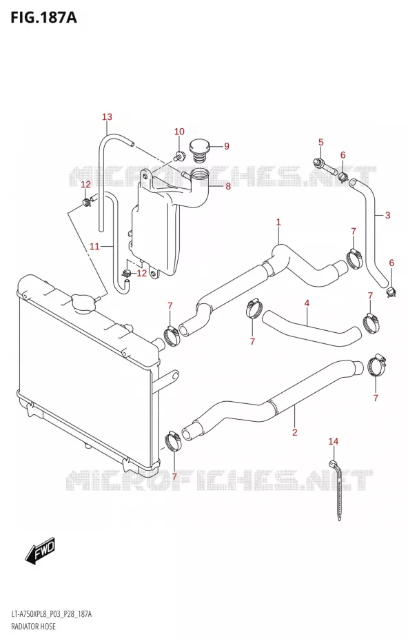 DURITES DE RADIATEUR - VASE D'EXPANSION Suzuki QUAD 750 KINGQUAD 2018  LT-A750XPB L8 (P03)