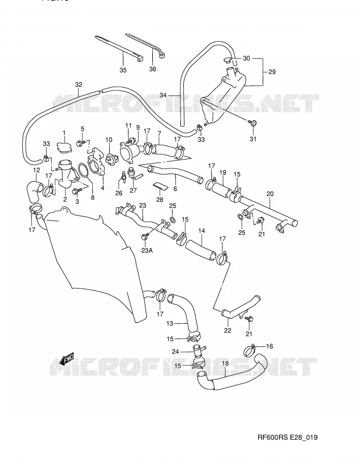DURITE DE RADIATEUR Suzuki MOTO 600 RF 1993  RF600RP(E28)