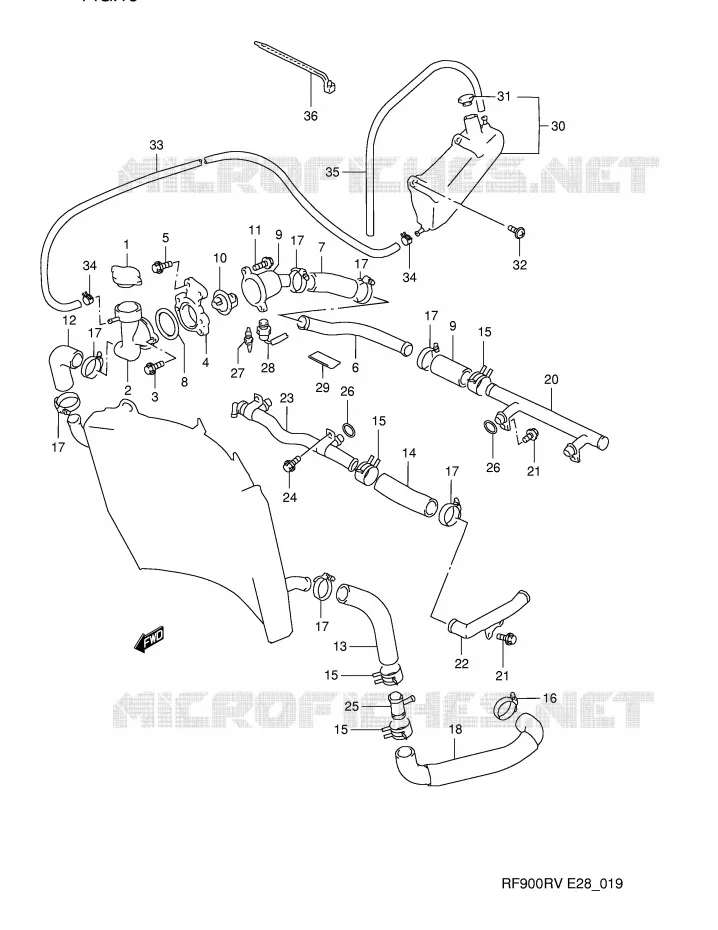 DURITE DE RADIATEUR Suzuki MOTO 900 RF 1995  RF900RZS(E28)