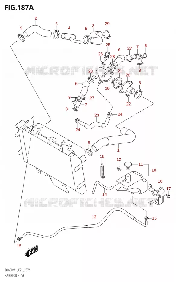 DURITES DE RADIATEUR - VASE D'EXPANSION Suzuki MOTO 650 V-STROM 2021  DL650A M1