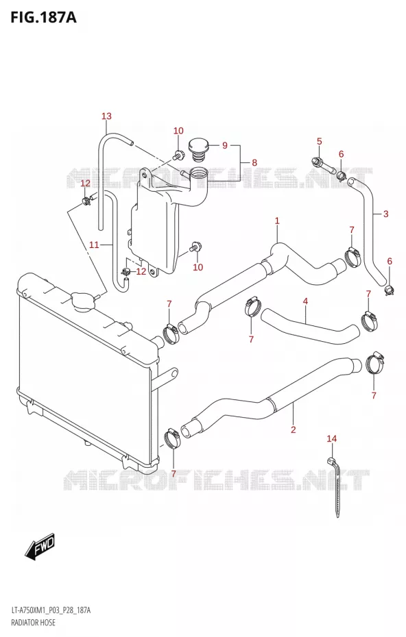 DURITES DE RADIATEUR - VASE D'EXPANSION Suzuki QUAD 750 KINGQUAD 2021  LT-A750X M1 (P33)