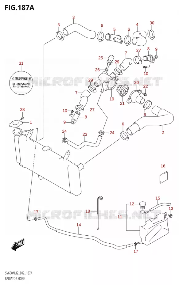 DURITE DE RADIATEUR) Suzuki MOTO 650 SV 2022  SV650A M2 (E02,E19)