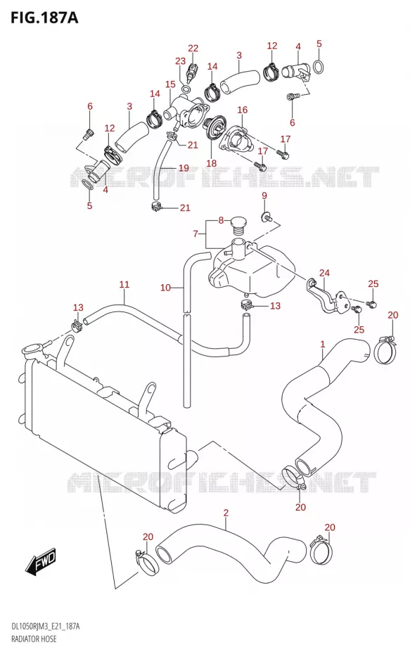 DURITES DE RADIATEUR - VASE D'EXPANSION Suzuki MOTO 1050 V-STROM 2023  DL1050RJ M3 (E21)