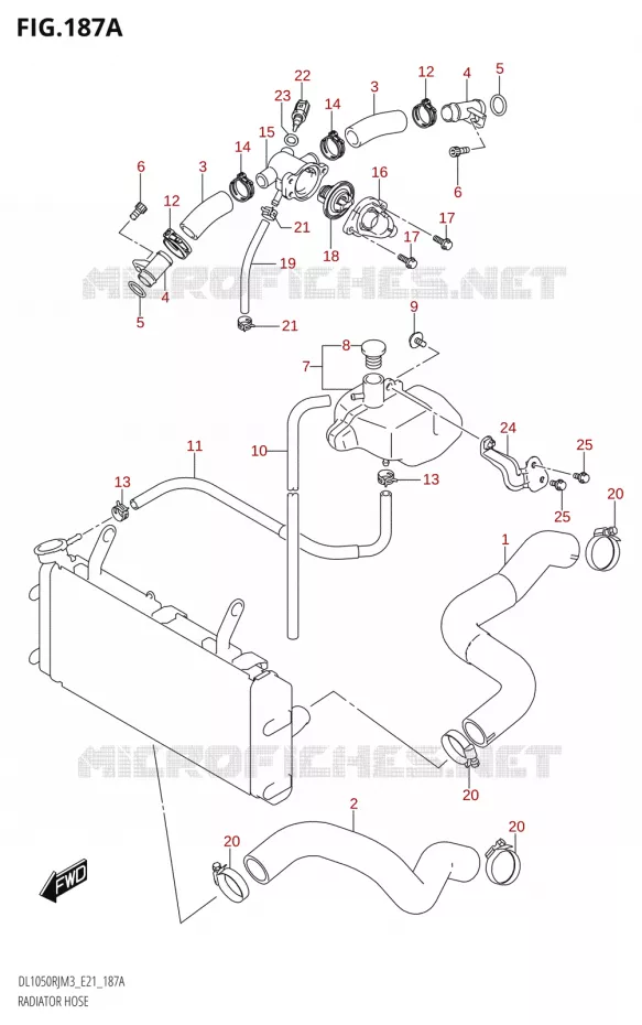 DURITES DE RADIATEUR - VASE D'EXPANSION Suzuki MOTO 1050 V-STROM 2023  DL1050RR M3 (E21)