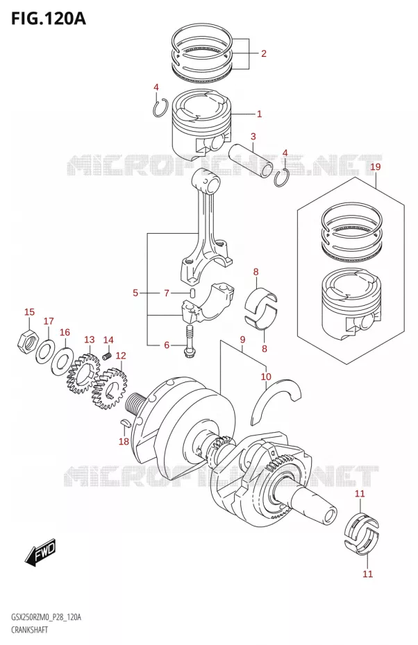 VILEBREQUIN Suzuki MOTO 250 GSX-R 2020  GSX250RZ M0 E03,E28,E33