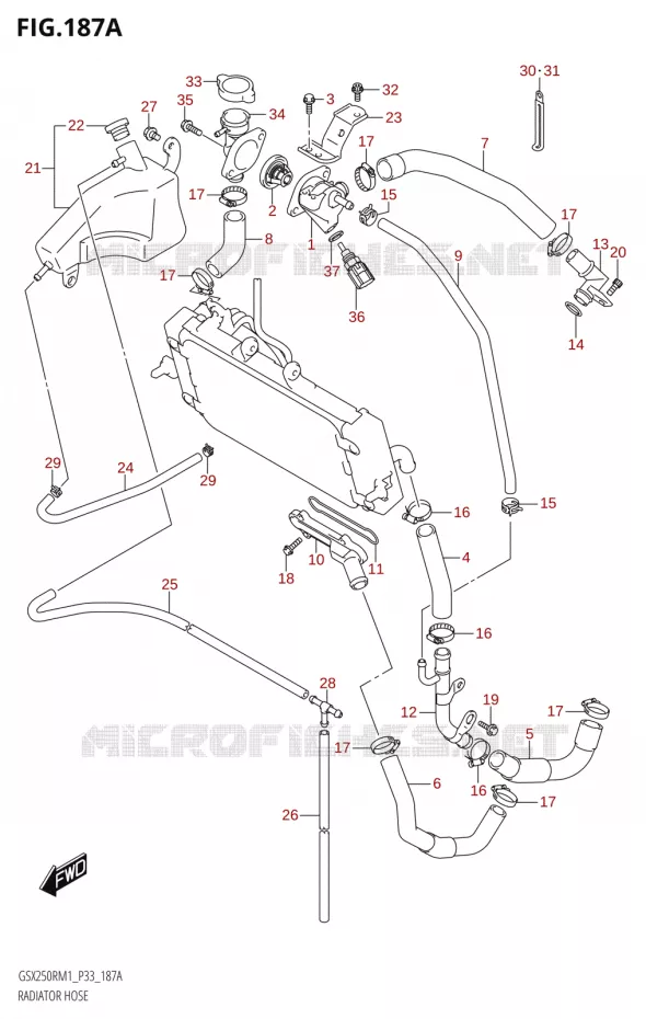 DURITES DE RADIATEUR - VASE D'EXPANSION Suzuki MOTO 250 GSX-R 2021  GSX250R M1 (P33)