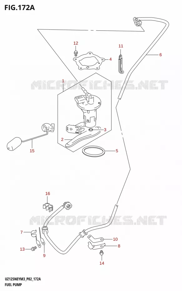 POMPE A ESSENCE Suzuki SCOOTER 125 ACCESS 2023  UZ125NEY M3 (P19)