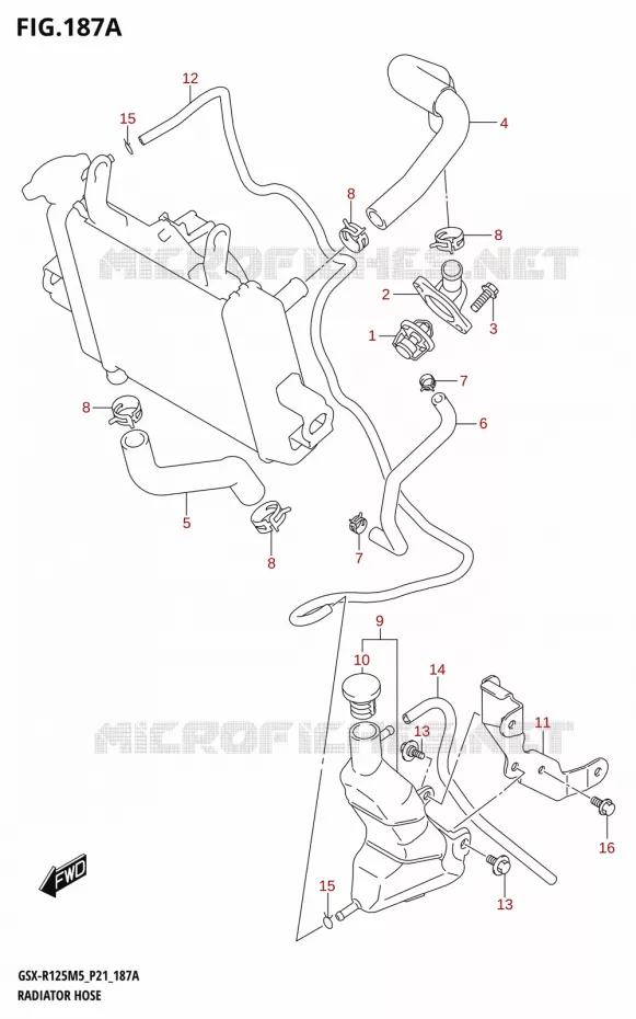 DURITES DE RADIATEUR - VASE D'EXPANSION Suzuki MOTO 125 GSX-R 2025  GSX-R125RL 2025 M5 (P21)