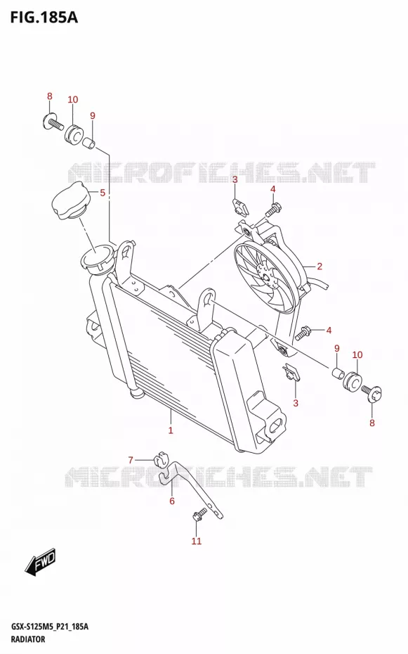 RADIATEUR Suzuki MOTO 125 GSX-S 2025  GSX-S125RL / GSX-S125RLX M5 (P21)