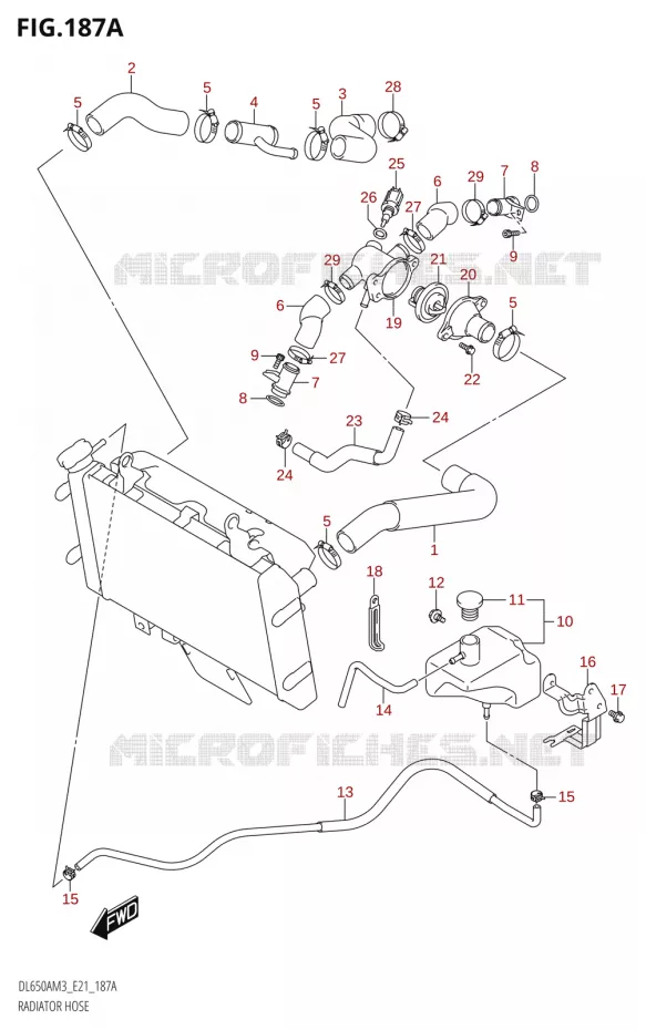 DURITES DE RADIATEUR - VASE D'EXPANSION Suzuki MOTO 650 V-STROM 2023  DL650AM3