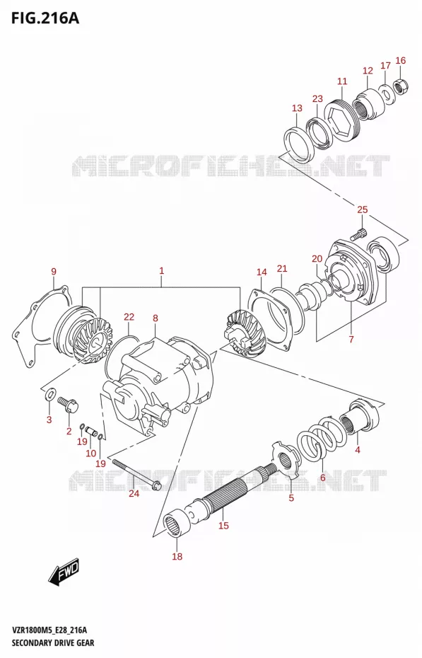 SECONDARY DRIVE GEAR Suzuki MOTO 1800 BOULEVARD 2025  VZR1800 2025 M5 (E28)