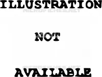 BEQUILLE   PEDALE DE FREIN ARRIERE pour Suzuki DR 350 1999