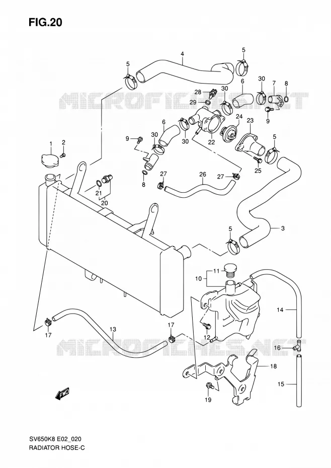 DURITE DE RADIATEUR Suzuki MOTO 650 SV 2008  SV650SK8(E24)