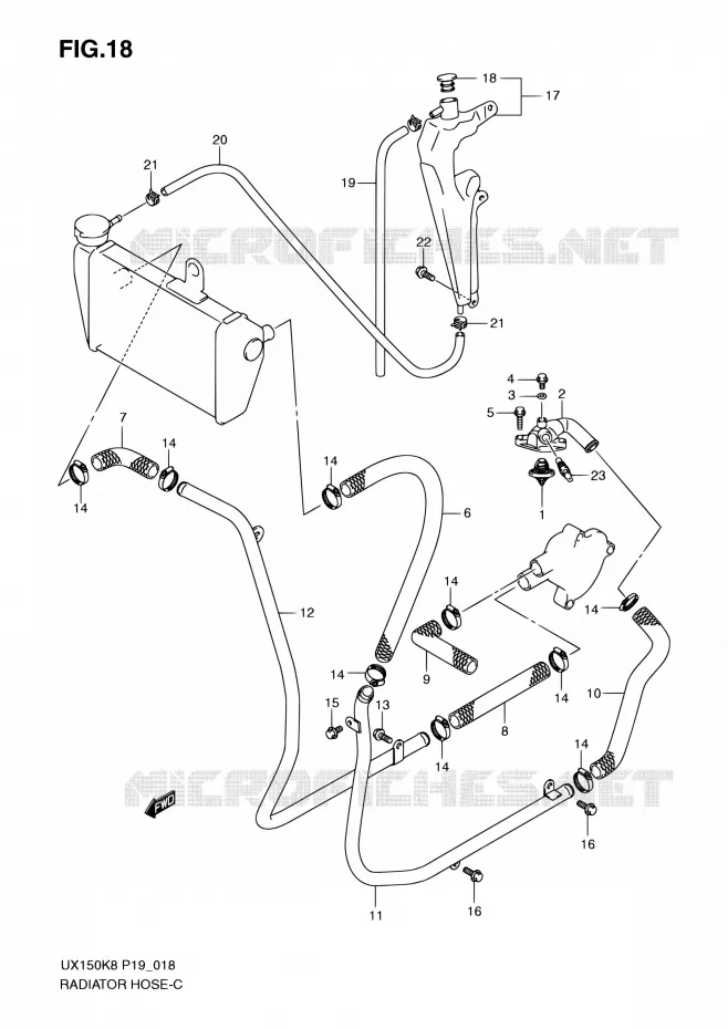 DURITE DE RADIATEUR Suzuki SCOOTER 150 SIXTEEN 2008  UX150 K8 (P19)