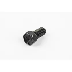 BOLT. AXLE BEARING