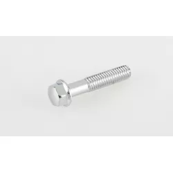 VIS 6X30MM CHROMEE
