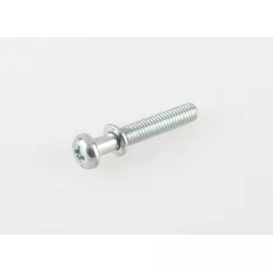 SCREW