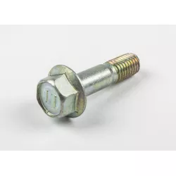 BOLT 8X31