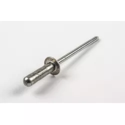 RIVET
