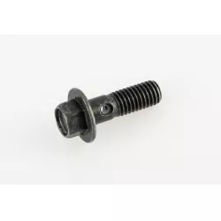 BOLT,ADJ OIL HOSE UNION