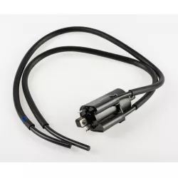 BOBINE D'ALLUMAGE GAUCHE R750