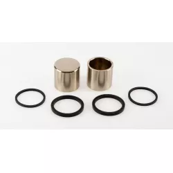 PISTON SET