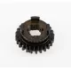 GEAR,5TH DRIVEN ,NT:25<br />PIGNON TL1000R DL1000