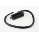 COIL ASSY, IGNITION